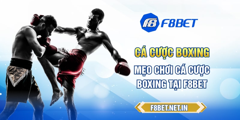 Cá Cược Boxing - Mẹo Chơi Cá Cược Boxing Tại F8BET