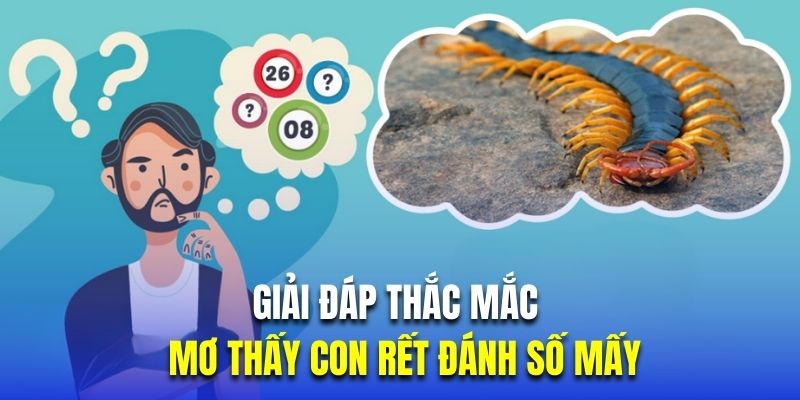 Giải đáp thắc mắc mơ thấy con rết đánh số mấy
